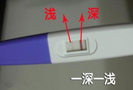 验孕棒两条杠图片